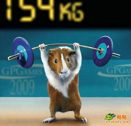 Mouse Weightlifter (Credit: tt.mop.com)