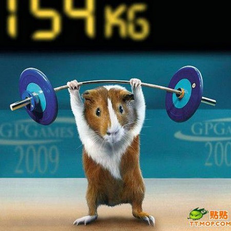 Mouse Weightlifter (Credit: tt.mop.com)