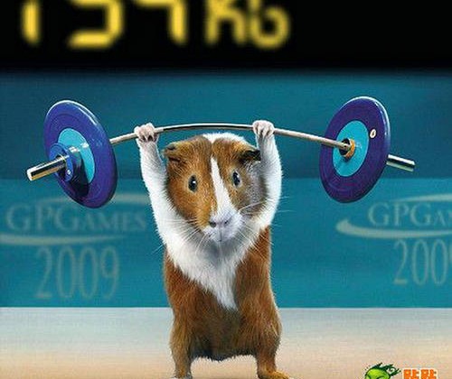 Mouse Weightlifter (Credit: tt.mop.com)