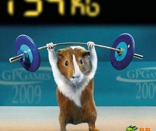Mouse Weightlifter (Credit: tt.mop.com)
